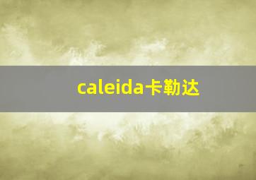 caleida卡勒达