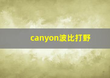 canyon波比打野