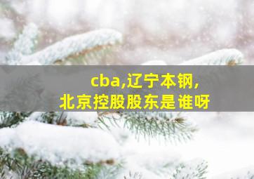 cba,辽宁本钢,北京控股股东是谁呀