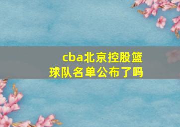 cba北京控股篮球队名单公布了吗