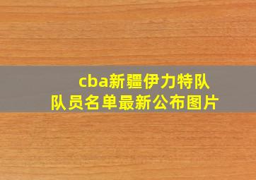 cba新疆伊力特队队员名单最新公布图片