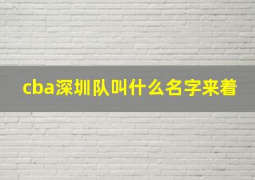 cba深圳队叫什么名字来着