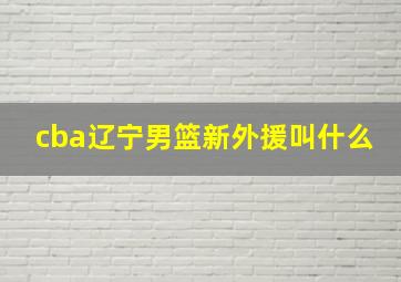 cba辽宁男篮新外援叫什么