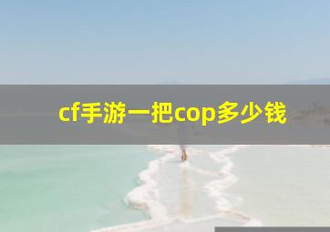 cf手游一把cop多少钱