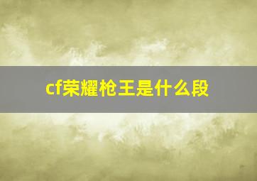 cf荣耀枪王是什么段