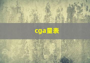 cga量表