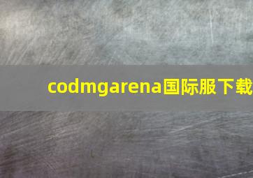 codmgarena国际服下载