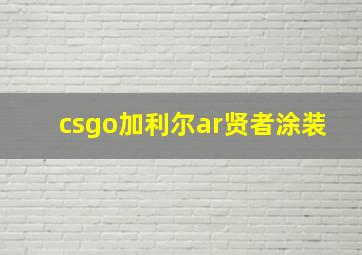 csgo加利尔ar贤者涂装