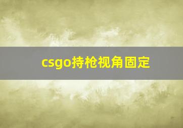 csgo持枪视角固定