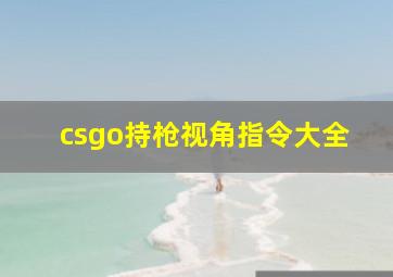 csgo持枪视角指令大全