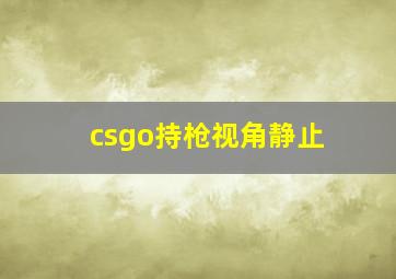 csgo持枪视角静止