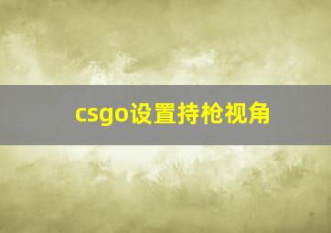 csgo设置持枪视角