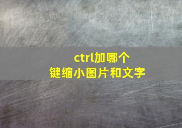 ctrl加哪个键缩小图片和文字