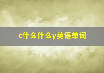 c什么什么y英语单词