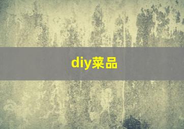 diy菜品