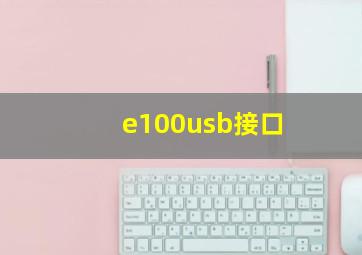 e100usb接口