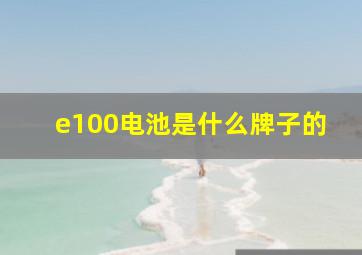 e100电池是什么牌子的