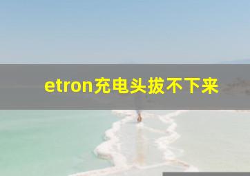 etron充电头拔不下来