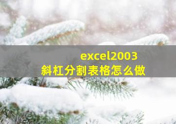 excel2003斜杠分割表格怎么做