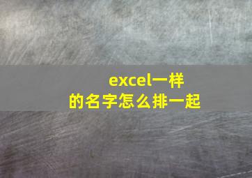 excel一样的名字怎么排一起