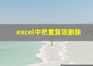 excel中把重复项删除