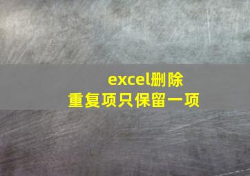 excel删除重复项只保留一项