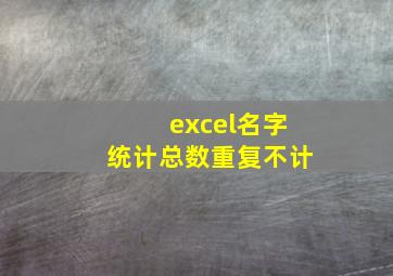 excel名字统计总数重复不计