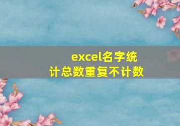 excel名字统计总数重复不计数