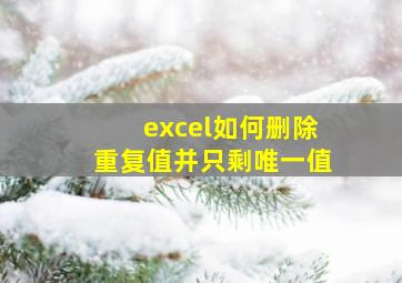 excel如何删除重复值并只剩唯一值