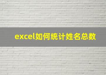 excel如何统计姓名总数