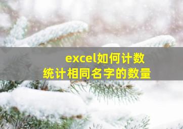 excel如何计数统计相同名字的数量