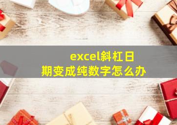 excel斜杠日期变成纯数字怎么办