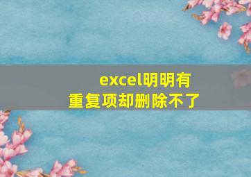 excel明明有重复项却删除不了