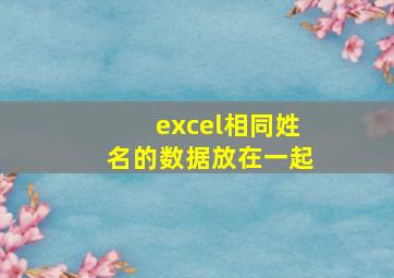 excel相同姓名的数据放在一起