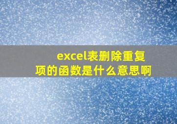 excel表删除重复项的函数是什么意思啊