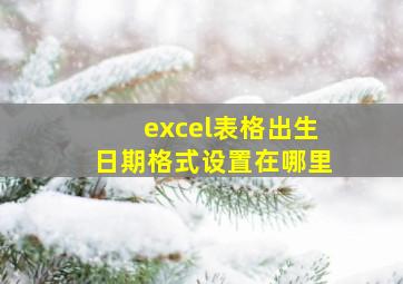 excel表格出生日期格式设置在哪里