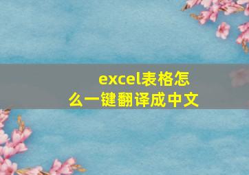 excel表格怎么一键翻译成中文