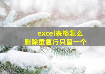 excel表格怎么删除重复行只留一个