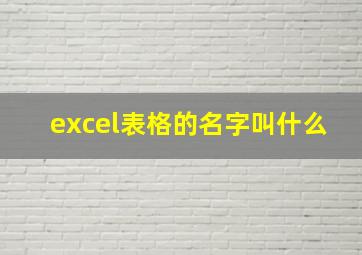 excel表格的名字叫什么