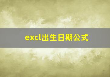 excl出生日期公式