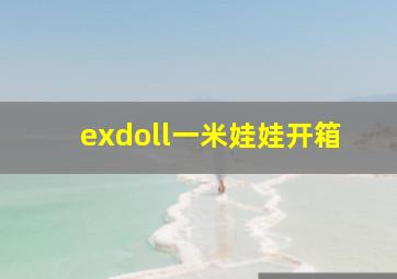 exdoll一米娃娃开箱