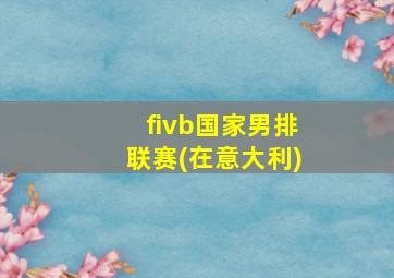 fivb国家男排联赛(在意大利)