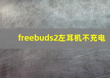 freebuds2左耳机不充电