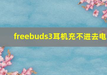 freebuds3耳机充不进去电