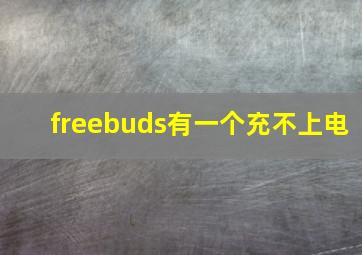 freebuds有一个充不上电