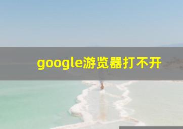 google游览器打不开