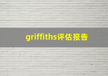 griffiths评估报告