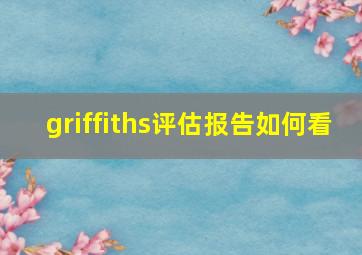 griffiths评估报告如何看