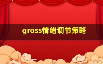 gross情绪调节策略