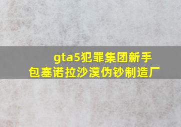 gta5犯罪集团新手包塞诺拉沙漠伪钞制造厂